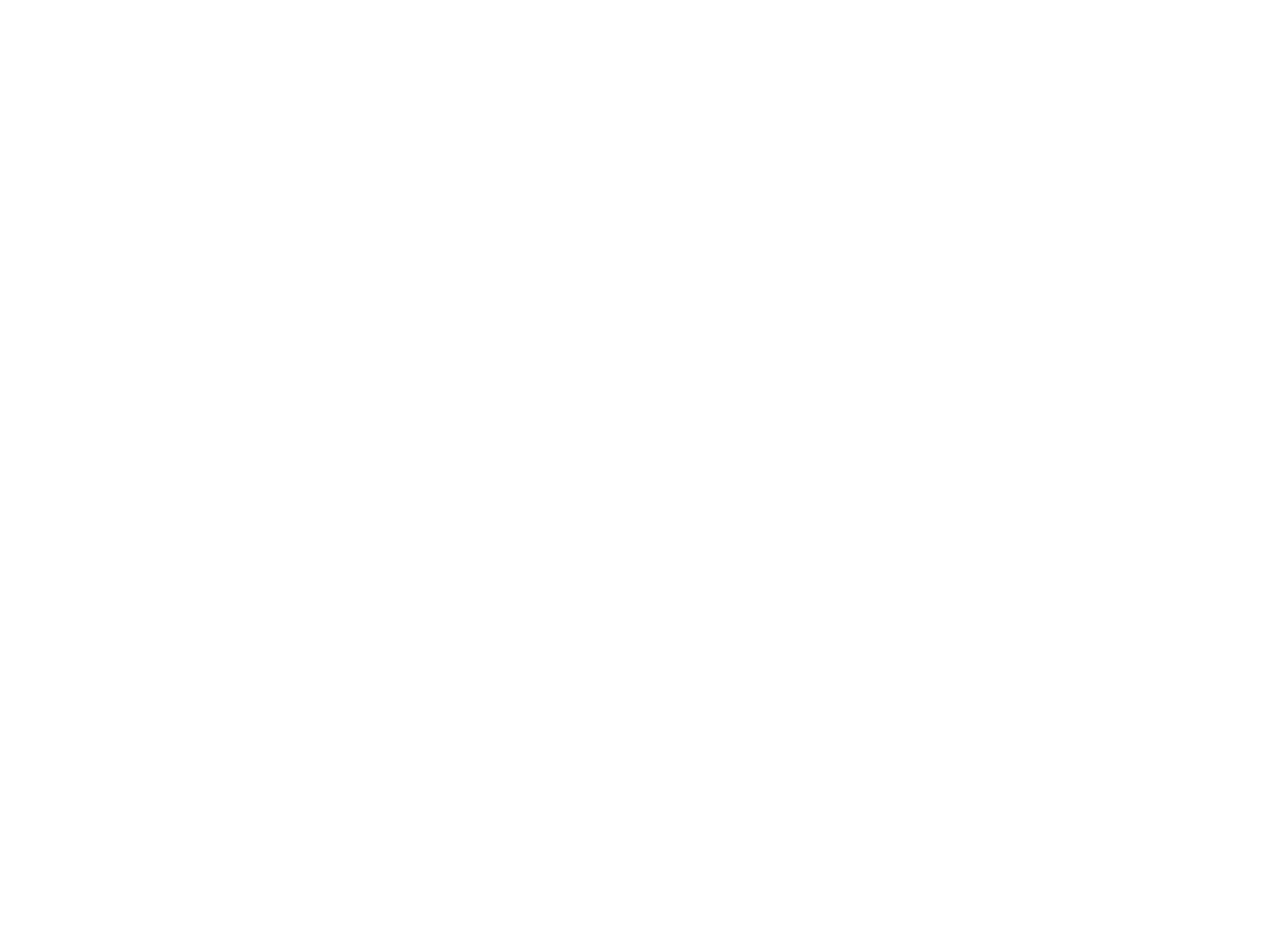 Société Net Méridionale